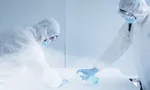 Бельевые вши: как выглядят и как избавиться