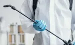 Санобработка квартиры после жильцов: что проверить и обработать