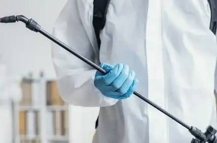 Санобработка квартиры после жильцов: что проверить и обработать