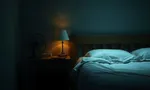 Черный мотылек: что за насекомое, виды и как избавиться