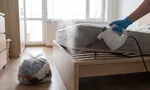 Как избавиться от клопов в квартире: пошаговый план