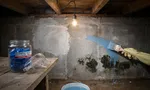 Медный купорос от плесени: работает ли и как применять