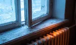 При какой температуре умирают тараканы: мороз, жара и пар