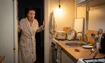 Увидели таракана на кухне или в новой квартире: что делать
